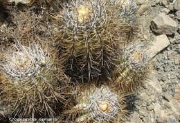P1017940