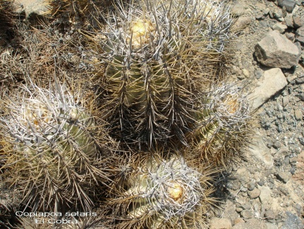 P1017940