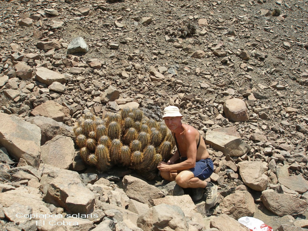 P1017945