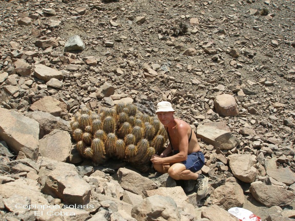 P1017945