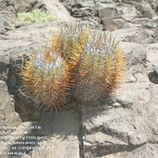 P1017946