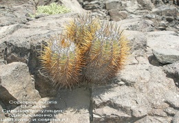 P1017946