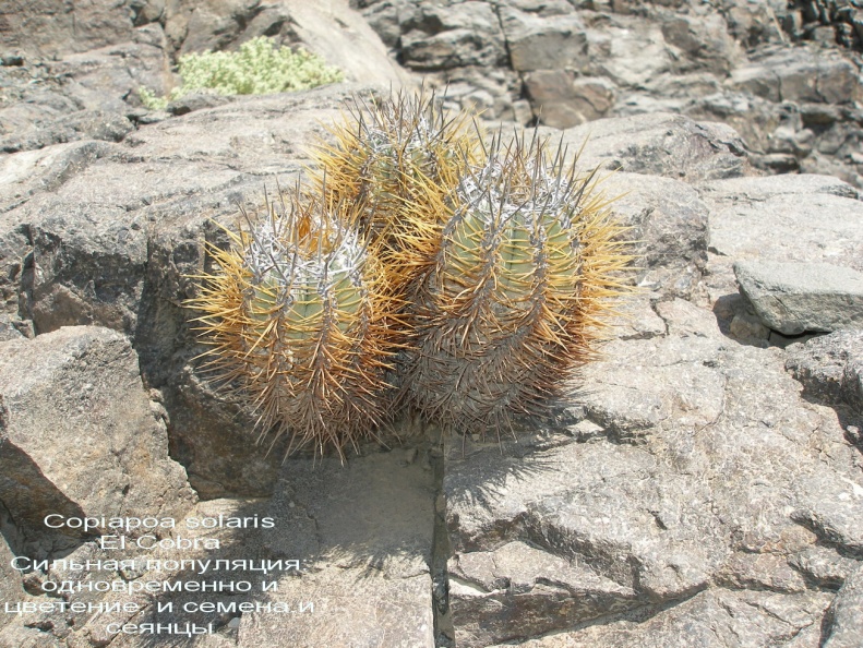 P1017946