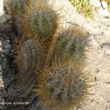 P1017971