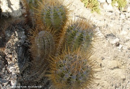 P1017971