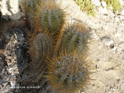 P1017971