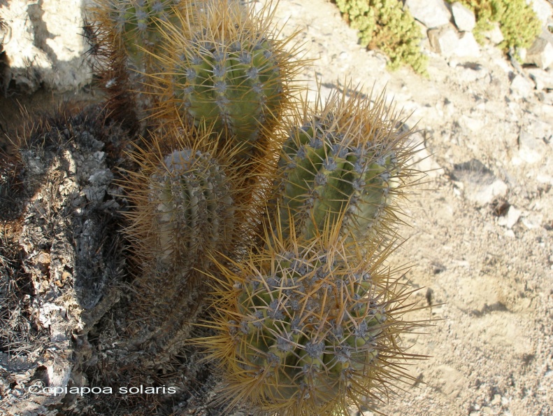 P1017971