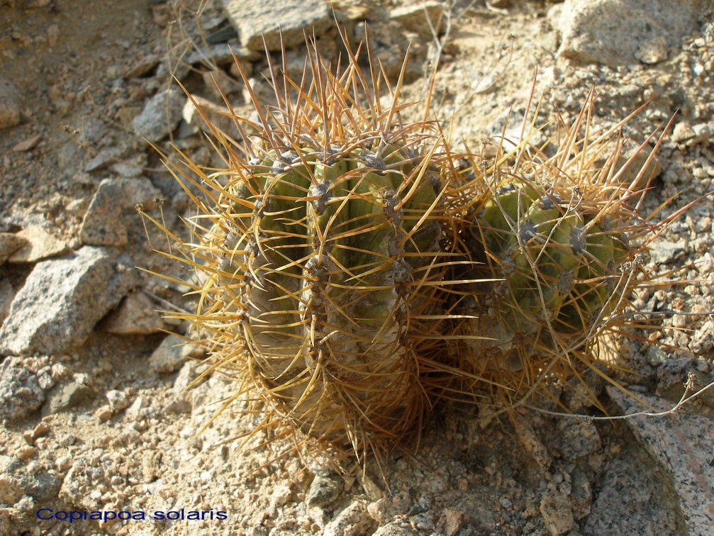 P1017973