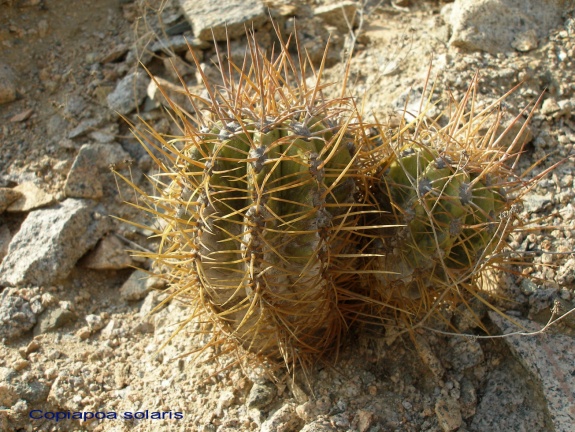 P1017973