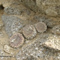 P1017984