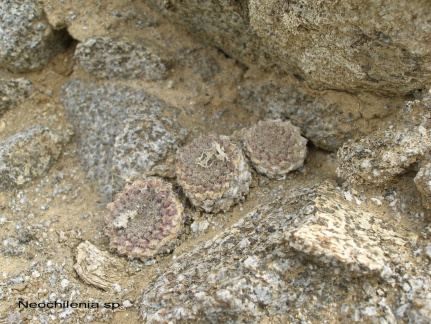 P1017984