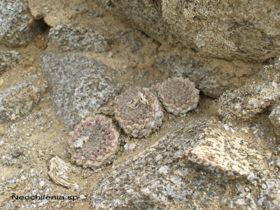 P1017984