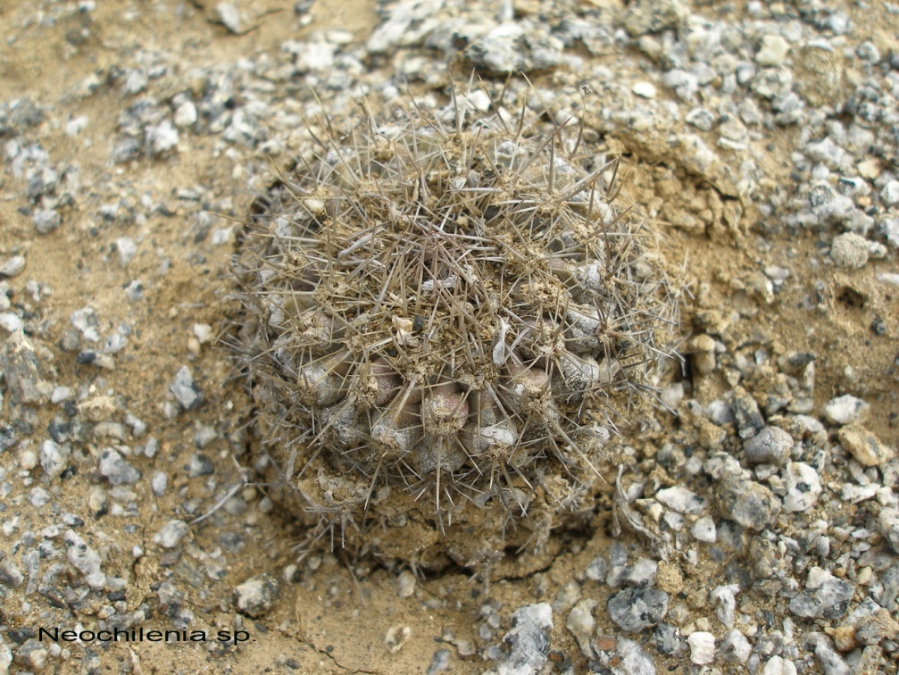 P1017985