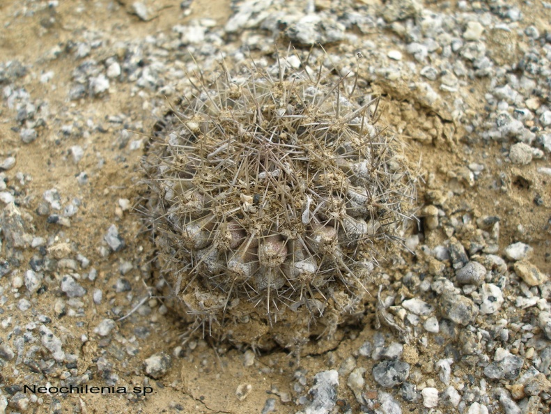 P1017985