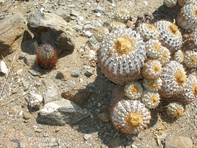 P1017991