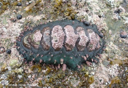 P1018009