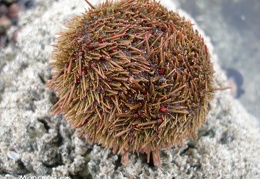 P1018012