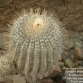 P1018020