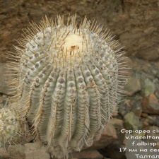 P1018020