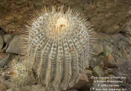 P1018020