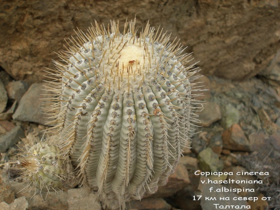 P1018020