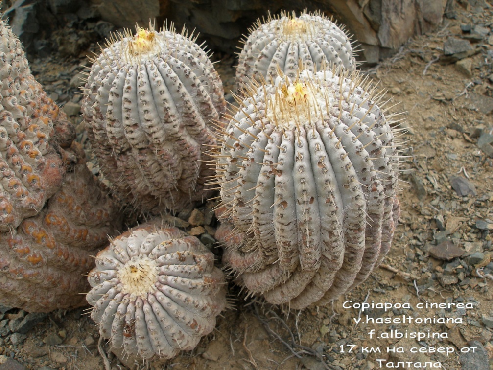 P1018021