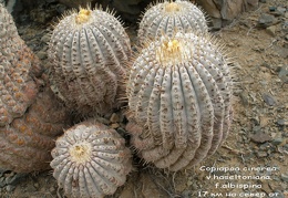 P1018021