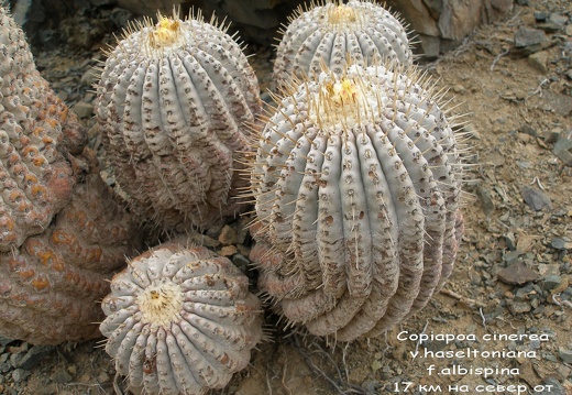 P1018021