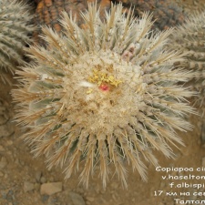 P1018022