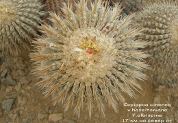 P1018022