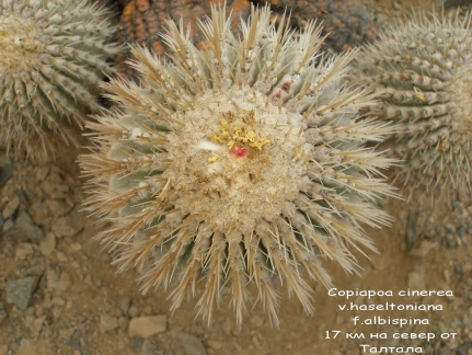 P1018022