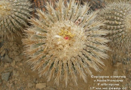 P1018022