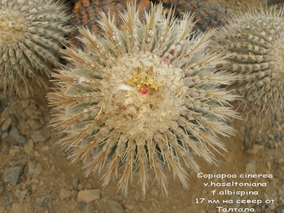 P1018022
