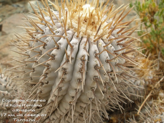 P1018027