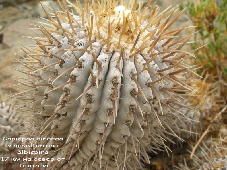P1018027