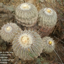 P1018028