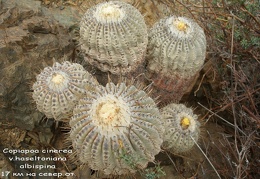 P1018028