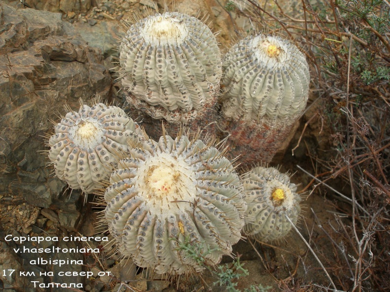 P1018028