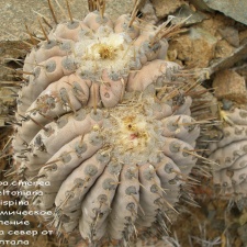 P1018029