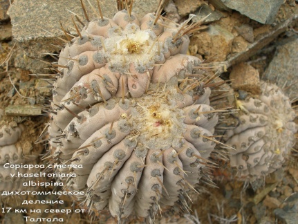 P1018029