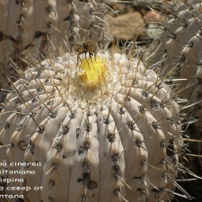 P1018030