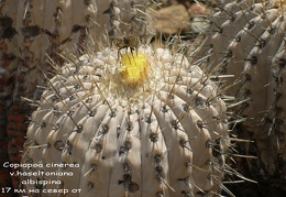 P1018030