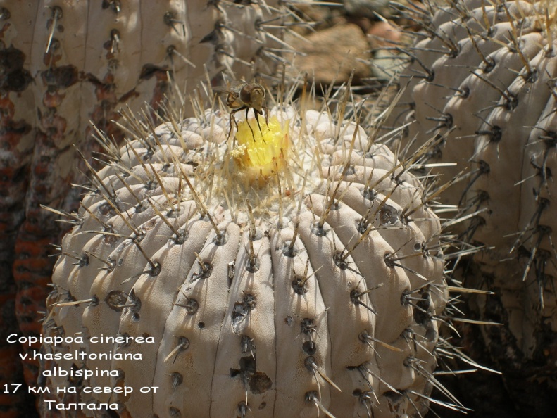 P1018030