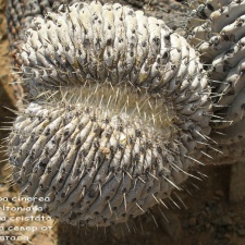 P1018032