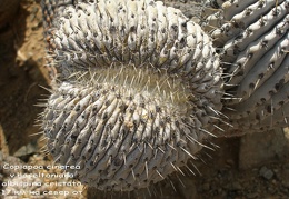 P1018032