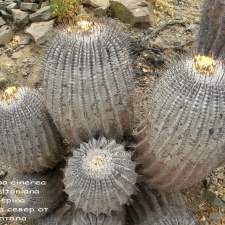 P1018033