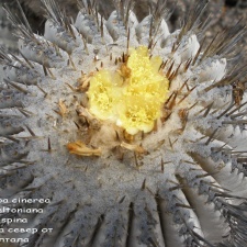 P1018034