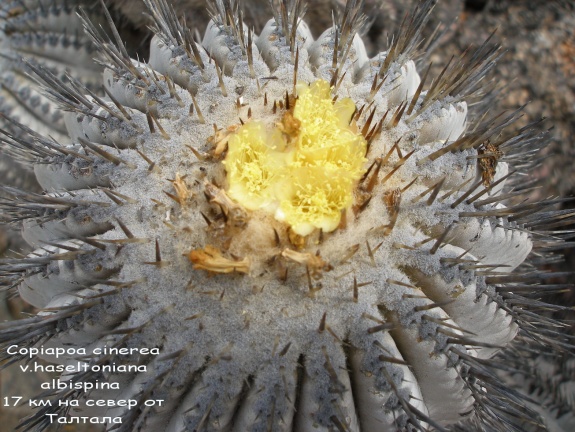 P1018034