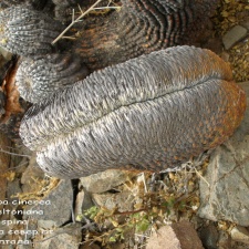 P1018038