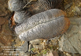 P1018038